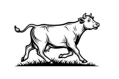 Güçlü bir inek koyu siyah beyaz vektör illüstrasyonuyla çimenlerde koşuyor, tüm vücut kenarı görüntüsü, özgürlüğü ve kırsal yaşamı temsil ediyor..