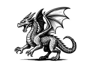 Kükreyen kanatlı ejderha, dinamik pozlarda yayılmış, siyah beyaz oyma stili, fantezi baskılar ve dövmeler için mükemmel efsanevi canavar..