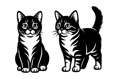 Şirin pozlarda kısa bacaklı iki cüce kedi, temiz siyah beyaz vektör çizgi filminde çizilmiş. Evcil hayvan.