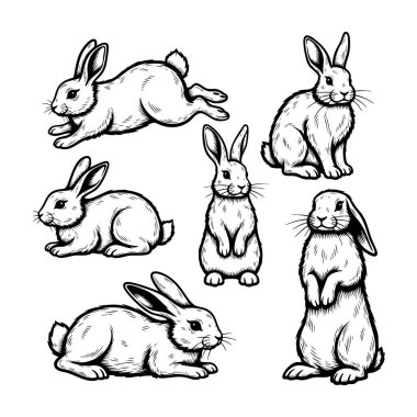 Tavşanların oyuncu ve dikkatli pozisyonlardaki oymalı çizimleri, bahar, çiftlik ve vahşi yaşam temaları için detaylı siyah ve beyaz vektör.