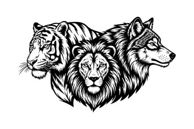 Cesur siyah beyaz tahta kesim tarzında kaplan, aslan ve kurt başlı gruplar, dövmeler ve parmak izleri için güçlü bir üçlü dizayn ile birleşmiş vahşi hayvanlar..
