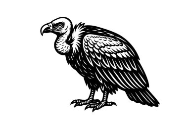 Görkemli akbaba ayrıntılı tüyleri ve keskin bakışları ile hareketsiz duruyor, koyu siyah ve beyaz oyma tarzıyla resmedilmiş..