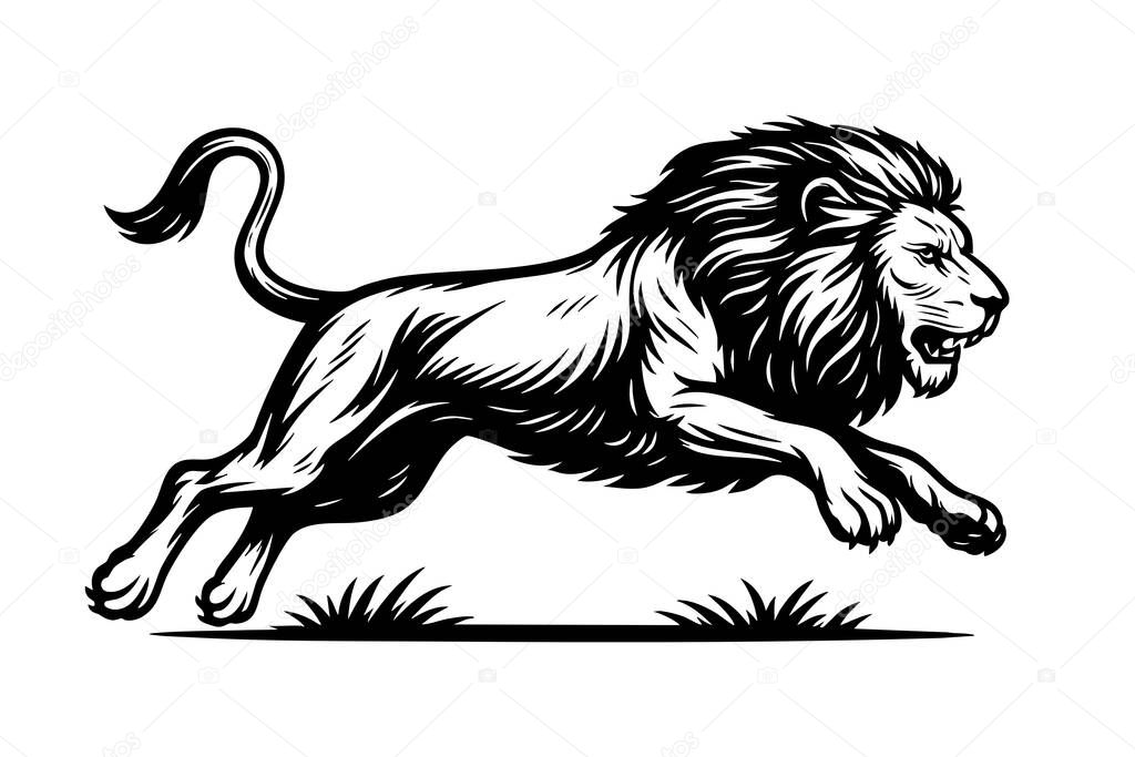 Vector of black and white illustration of a running lion with a powerful stride. Wildlife Animals
