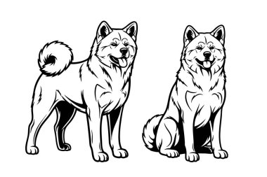 Biri ayakta diğeri oturarak iki Akita Inu köpeğinin siyah beyaz çiziminin temsilcisi. Evcil hayvan.