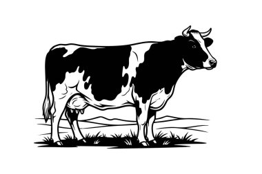 Tarlada duran bir süt ineğinin klasik siyah beyaz çiziminin taşıyıcısı, çiftlik temaları için mükemmel.. 