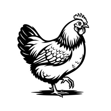 Klasik Bantam tavuk çizimi, çiftlik, kümes hayvanları ve kırsal tasarımlar için mükemmel..