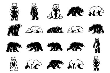 Çeşitli pozlarda sert ayı vektör çizimleri: duruş, yürüyüş ve dinlenme, doğa ve vahşi yaşam temaları için ideal.