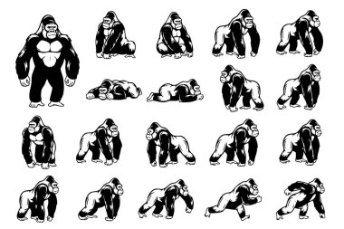 Çeşitli pozlarda güçlü goril vektör illüstrasyonlarının toplanması vahşi yaşam ve güç temaları için mükemmeldir. Vahşi Yaşam Hayvanları.