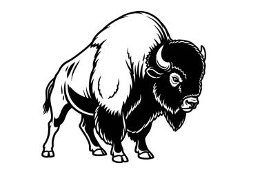 Ayakta duran bizonun güçlü siyah ve beyaz vektör çizimi etkili tasarımlara hazır. Vahşi Yaşam Hayvanları.