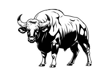 Ayakta duran bir Gaur 'un güçlü vektör çizimi görkemli ve güçlü formunu sergiliyor. Vahşi Yaşam Hayvanları.