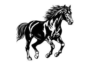 Güçlü bir atın dört nala koşup hız ve özgürlüğü somutlaştıran vektör çizimi. Vahşi Yaşam Hayvanları.