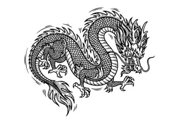 Görkemli Asya tarzı ejderha vektör çizimi. Kültürel tasarımlar için mükemmel pullar, pençeler ve dalgalı yelelerle detaylı..