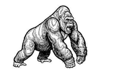 Yoğun kızgın goril, güçlü ve vahşi hayvan tasarımları için mükemmel..