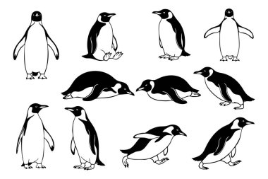 Çeşitli pozlarda büyüleyici vektör kümeleri, doğa ve soğuk iklim temaları için mükemmel..