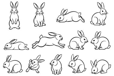 Çeşitli pozlarda şirin tavşanlardan oluşan çeşitli vektör kümeleri, doğa ve hayvan teması için ideal..