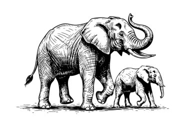 Vahşi yaşam ve doğa temaları için mükemmel bir fil ailesinin görkemli vektör çizimi. Vahşi Yaşam Hayvanları.