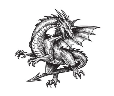  Görkemli, vahşi Avrupalı ejderha eskizi. Detaylı pulları ve kanatlarıyla saldırmaya hazır. Fantezi ve efsanevi tasarımlar için mükemmel..