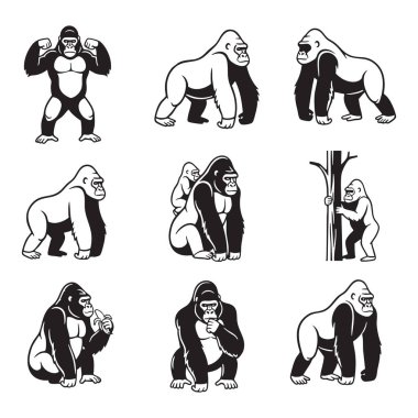 Farklı pozlar ve ifadeler gösteren bir dizi siyah ve beyaz goril çizimi. Vahşi Hayvanlar.
