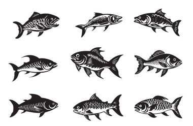 Kalın siyah beyaz siluetler içinde çeşitli tarpon öküz balığı koleksiyonu. Balık ve deniz logoları için mükemmel..