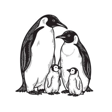 Heartwarming black and white depiction of an Emperor penguin family with two adults and two small chicks. Vector illustration.