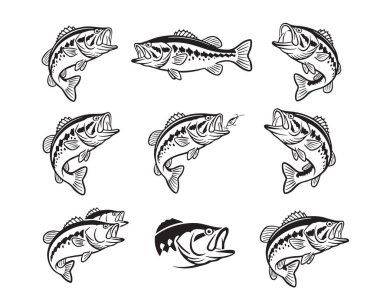 Balıkçılık, açık hava ya da spor grafikleri için ideal, ağızları açık atlama ortasında yakalanan kalın levrek balık vektör çizimleri.