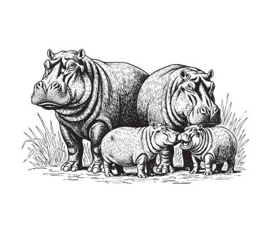 İki büyük yetişkin ve iki şirin buzağı sergilenen klasik tarzda bir ahşap kesim ile detaylı su aygırı aile çizimi.