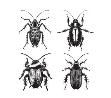 Hamamböceği çizimleri gerçekçi bir taslak tarzında, haşere kontrolü veya doğa projeleri için idealdir..