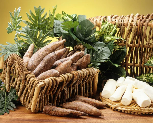 South America Vegetables Yuca — Stock Photo, Image