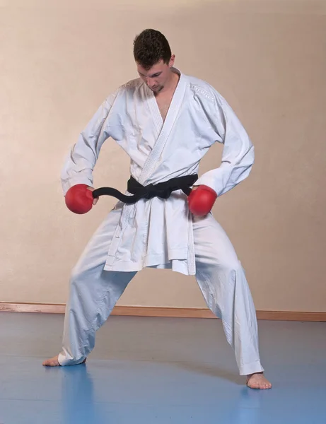Kampsport Svart Bälte Karate Ung Man Porträtt Bär Röda Handskar — Stockfoto
