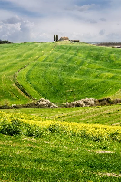 Landschap Toscane Met Cipressen Regen — Stockfoto