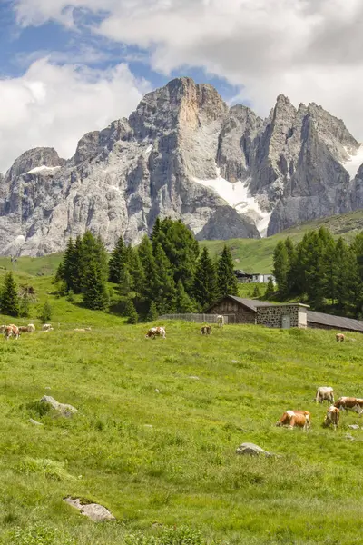 Trentino 'daki güzel alp manzarası 