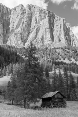 Trentino Alto Adige 'deki dağ manzarası siyah beyaz