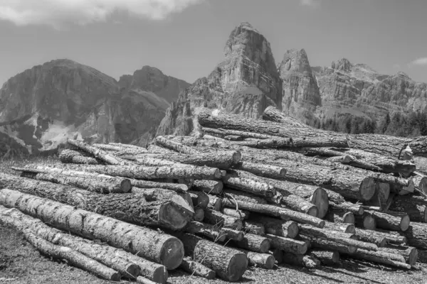 Trentino 'daki dağ manzarası siyah ve beyaz.