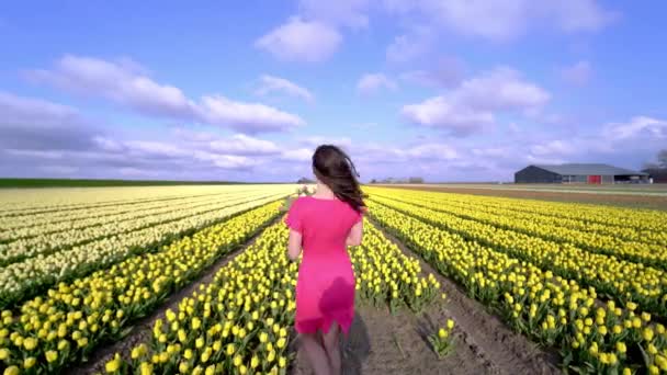 Mulher Bonita Vestido Verão Campos Coloridos Flores Tulipa Região Amsterdã — Vídeo de Stock