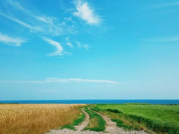 Güzel Ukrayna manzarası