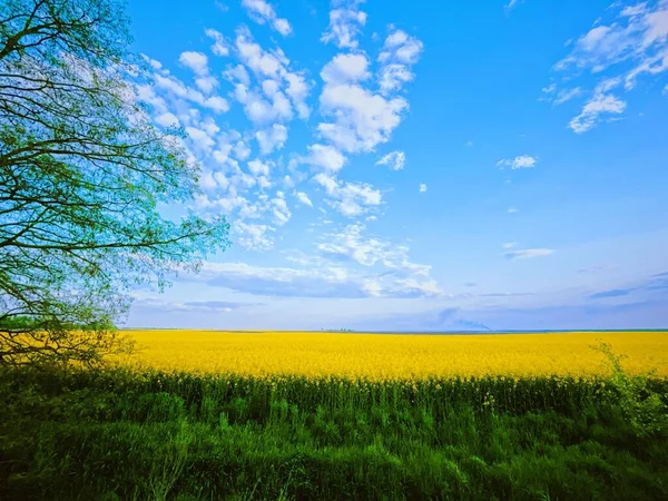 Güzel Ukrayna Manzarası — Stok fotoğraf