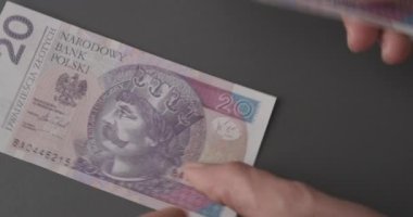 Para sayıyorum PLN. Yakın plan çekimler, Polonya zloti banknotlarını yeniden hesaplama, finansal maaş, para değişimi, kriz, enflasyon kavramları. Kamera kilitlendi.