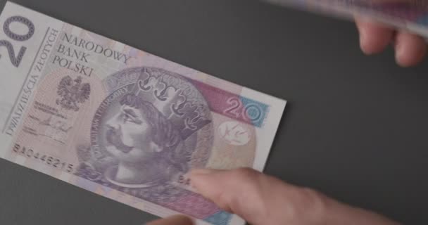 Počítám Peníze Detailní Přepočet Polských Zlotých Bankovek Finanční Koncepce Platu — Stock video