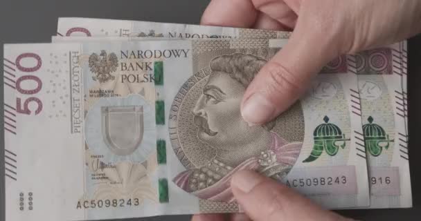 Cierre Mano Contando Dinero Pln Mano Con Billete 500 Zloty — Vídeo de stock