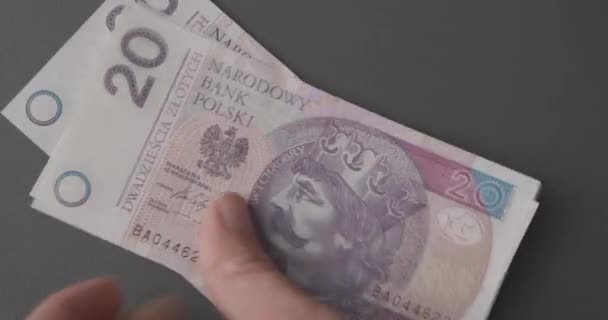 Считаю Деньги Pln Крупным Планом Польскими Злотыми Банкнотами Финансовой Концепцией — стоковое видео