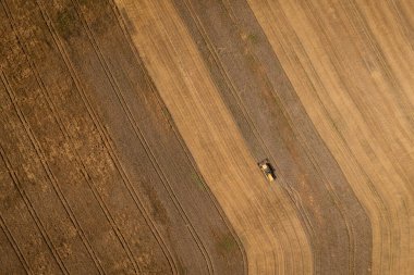 Combine harvester aerial shot, top down view. Drone photo of yellow modern combine harvesting cereal crop. Poland, Europe.