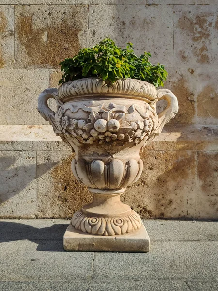 Big ornamental plant pot vase, Cagliari Cathedral, Cattedrale di Santa Maria, Cagliari, Sardinia, Italy.