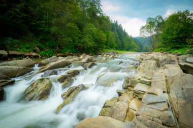 Dağ kıvrımlı nehir Bieszczady, Wetilna nehri Reserve Sine Wiry 'de. Doğa koruma