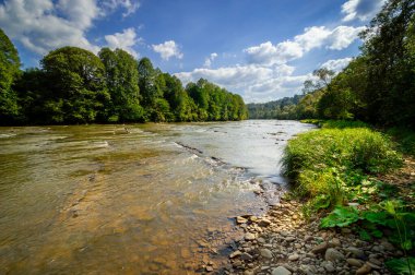 Taşlı sığ nehir, San Nehri, Bieszczady dağlarındaki San Valley, ormanla kaplı alçak dağ tepeleri, yaz sonu