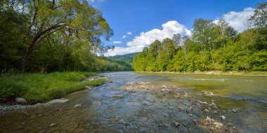 Taşlarla sığ nehir, San Nehri manzarası Biesczady Dağları 'ndaki San Valley manzarası, ormanla kaplı alçak dağ sırtları, yaz sonu, San Valley Manzara Parkı