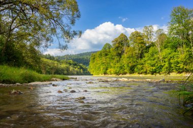 Taşlı sığ nehir, San nehri, Bieszczady dağlarındaki San vadisi, ormanla kaplı alçak dağ tepeleri, yaz sonu, San Valley Peyzaj Parkı
