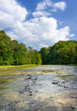 Taşlı sığ nehir, San nehri, Bieszczady dağlarındaki San vadisi, ormanla kaplı alçak dağ tepeleri, yaz sonu, San Valley Peyzaj Parkı