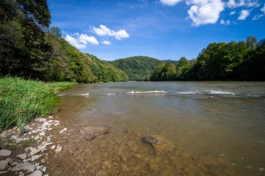 Taşlı sığ nehir, Bieszczady dağlarındaki San Nehri vadisi, ormanla kaplı alçak dağ tepeleri, yaz sonu