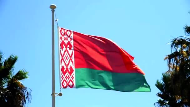 Σημαία Λευκορωσίας Στο Φως Της Ημέρας Στον Γαλάζιο Ουρανό — Αρχείο Βίντεο