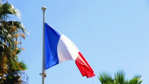 Γαλλική Σημαία Στο Φως Της Ημέρας Στον Γαλάζιο Ουρανό — Αρχείο Βίντεο